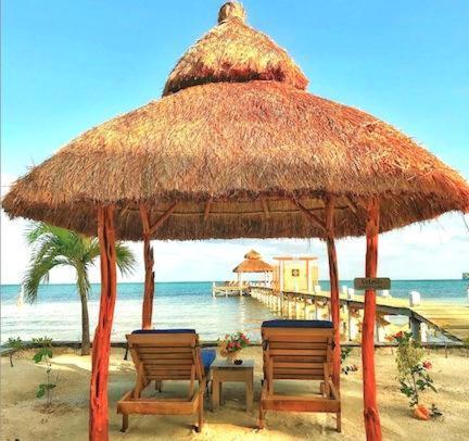 キー・カーカー Velento Oceanfront #2ヴィラ エクステリア 写真
